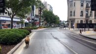 Bayram tatiliyle İzmir’de sokaklar bomboş kaldı