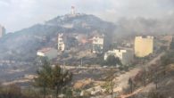 İzmir’de korkutan orman yangını: 2 eve sıçradı