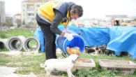 Buca’da sokak hayvanlarına su ve gıda desteği