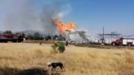 Fabrika yangınında hayvanlar da tahliye edildi