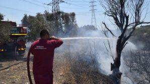 Aliağa’daki yangının, ormanlık alana sıçramaması için büyük mücadele