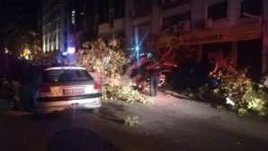 İzmir’de 3 otomobilin üzerine ağaç devrildi: 1 Yaralı