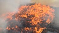 İzmir’de 2 ilçede orman yangını