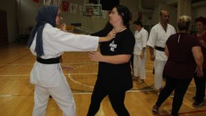 Kadına şiddete karşı aikido