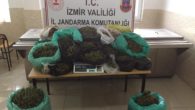Kiraz’da jandarmadan uyuşturucu baskını