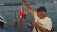 İzmir’de art arda köpek balığı heyecanı