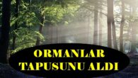 Türkiye’de 19,8 Milyon Hektar Ormanlık Alan Tapusuna Kavuştu