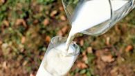 İnek Sütü Üretimi Azaldı