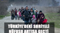 Türkiye’deki Suriyeli Nüfusu Artışa Geçti
