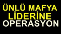 İstanbul Organize Suçlarla Mücadele Ekiplerince Operasyon