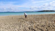 lıca Plajı’nda Sosyal Mesafe Locası