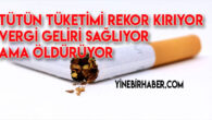Türkiye Tütün Sorununu Arttırıyor