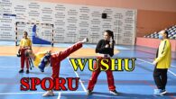 Ego Spor Wushu’da da İddialı